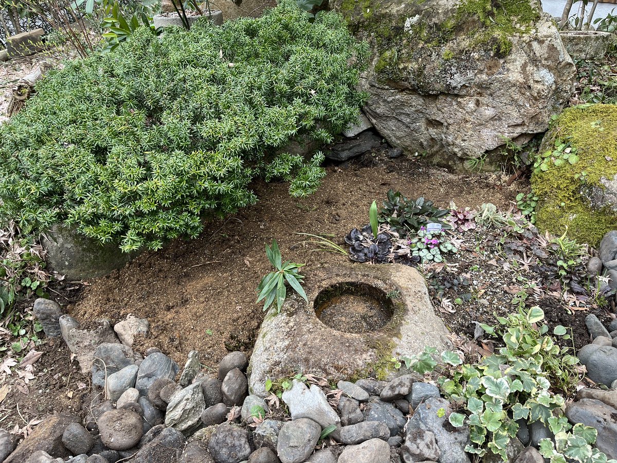 MA(まー)_春例大祭「ち39B」 tweet media