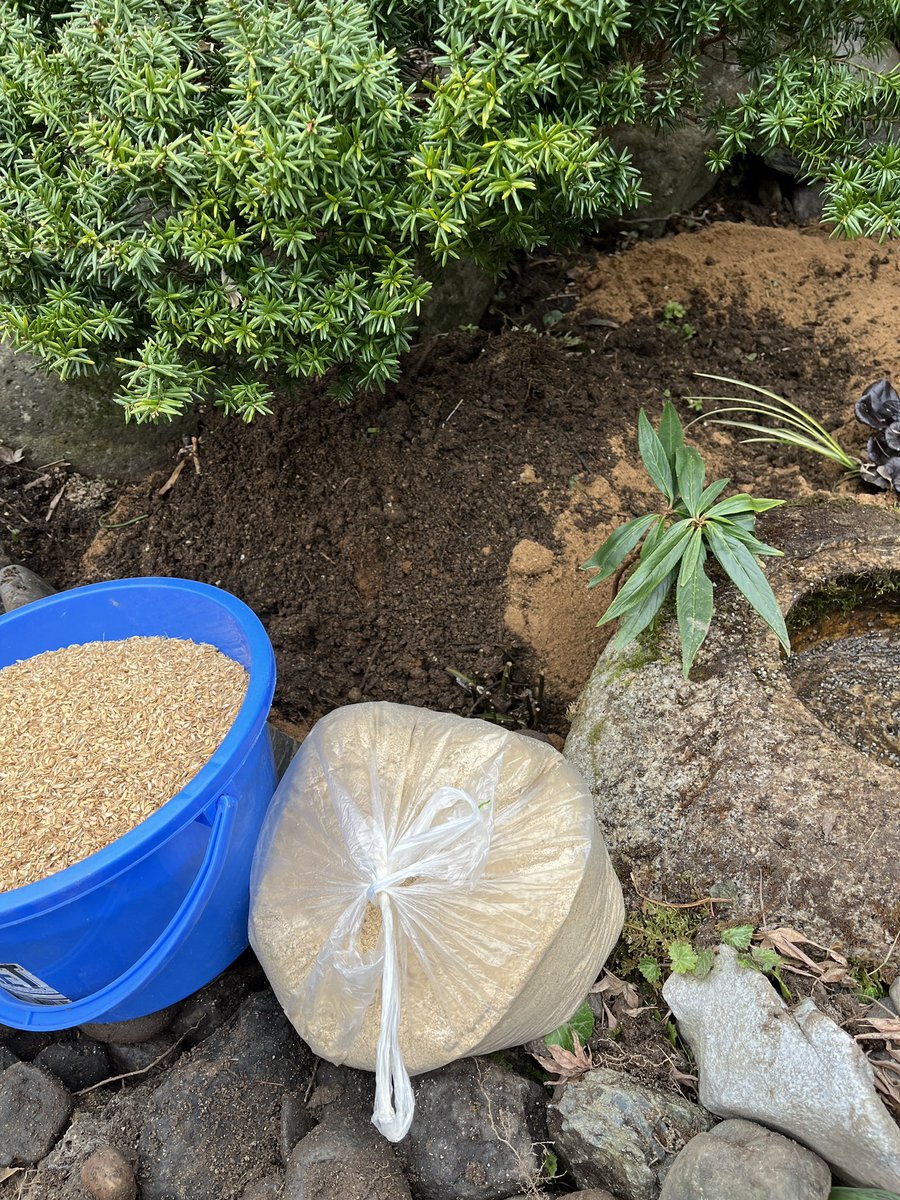 MA(まー)_春例大祭「ち39B」 tweet media