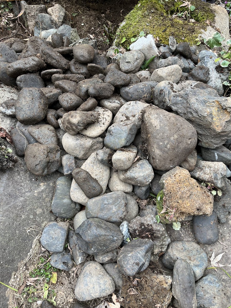 MA(まー)_春例大祭「ち39B」 tweet media