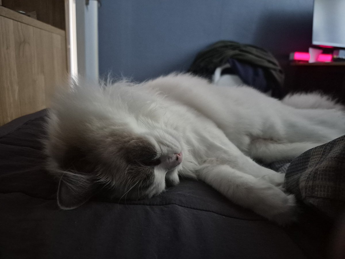 르하리그 tweet media