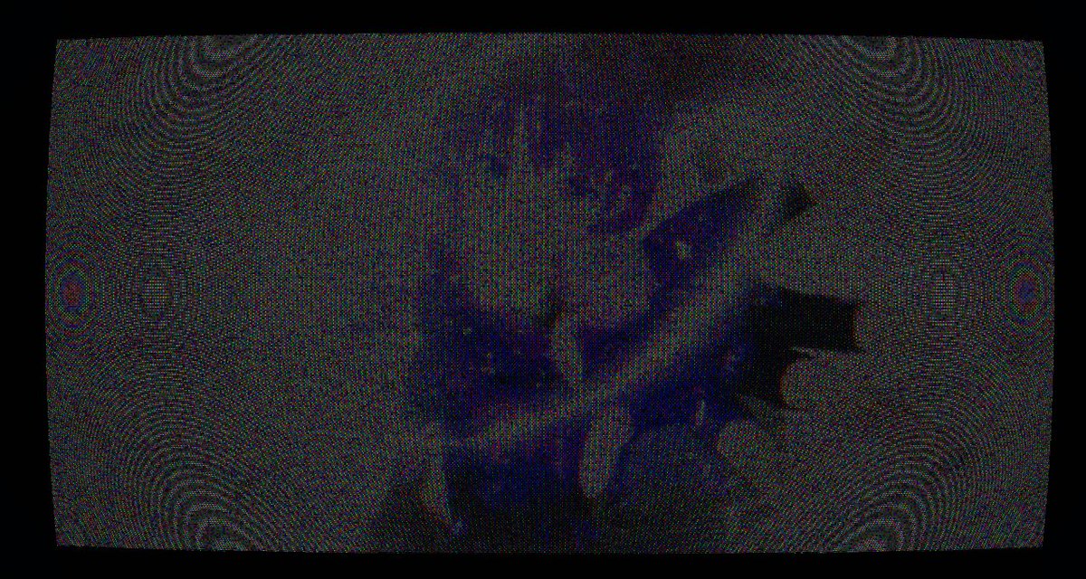 メキシコ産 tweet media