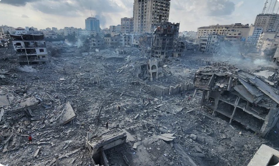 Mohamad Safa tweet media