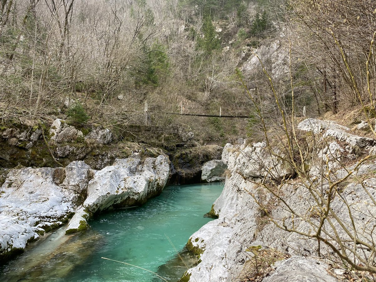 Tanja Fajon tweet media