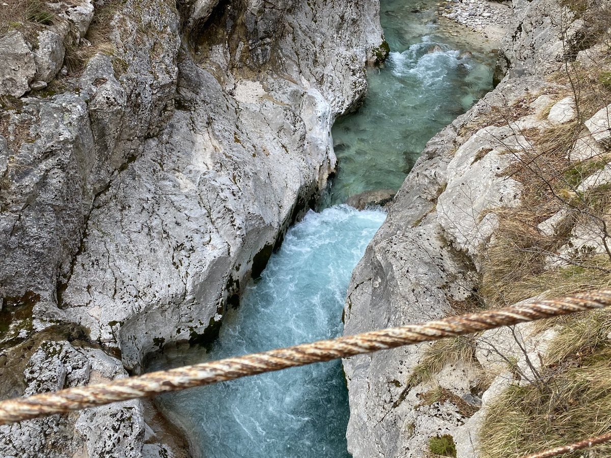 Tanja Fajon tweet media