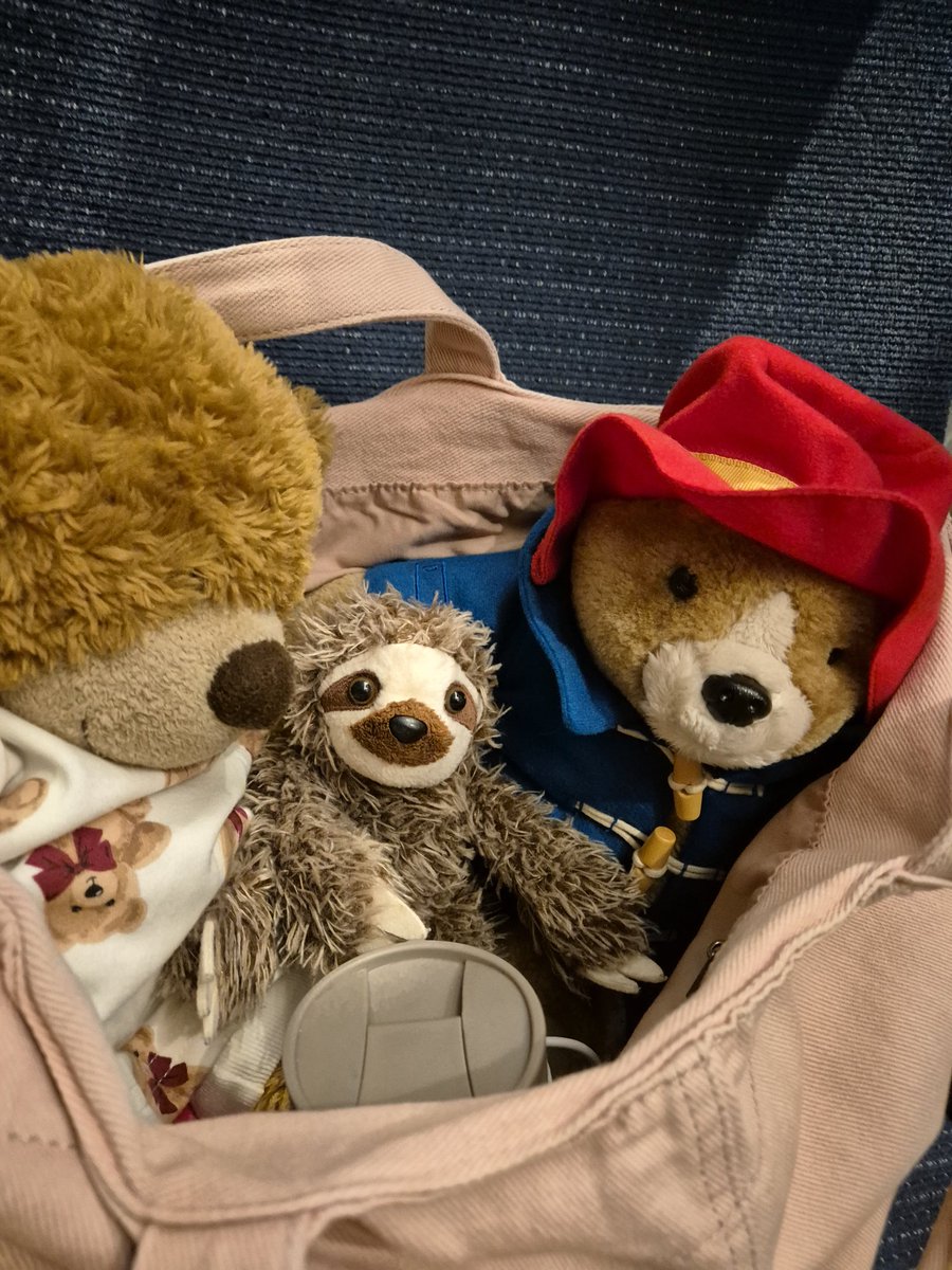 ann cooper tweet media