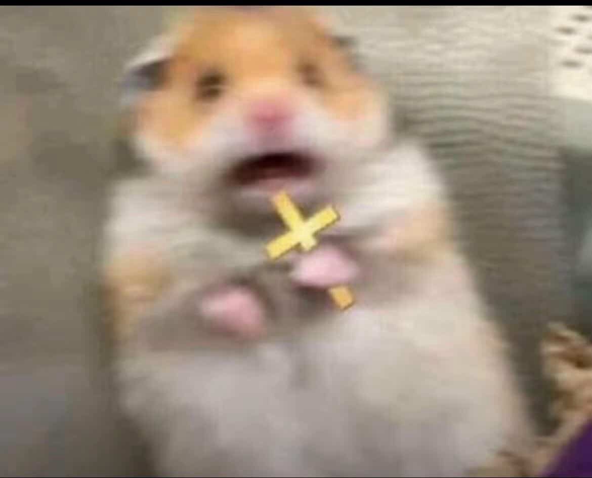 Martinõ🇮🇹🇦🇱 tweet media