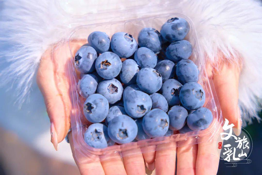 Bryony Maxwell tweet media