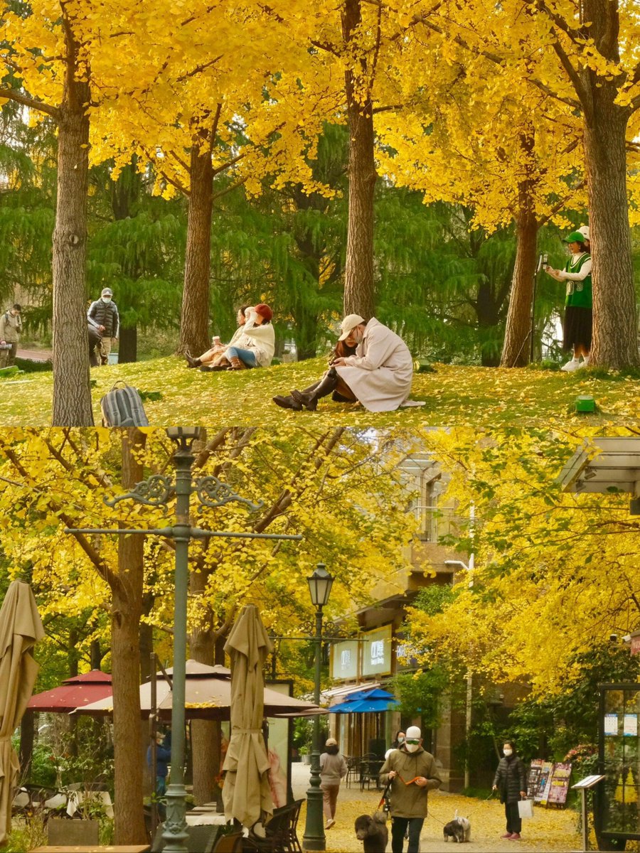 muhamat fikri tweet media