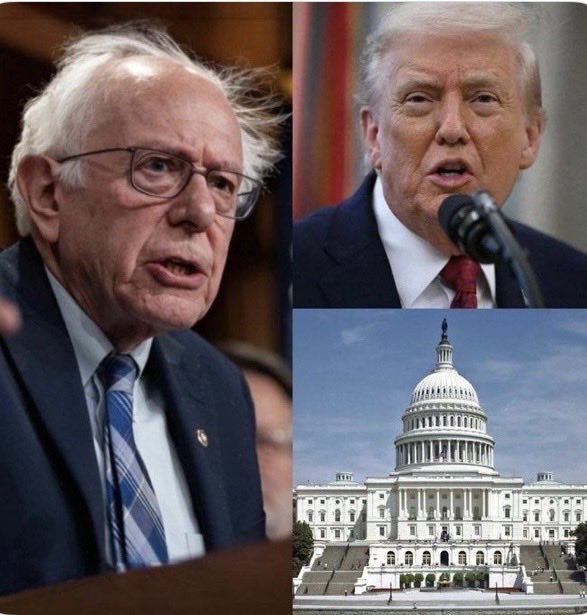 Suzie rizzio tweet media