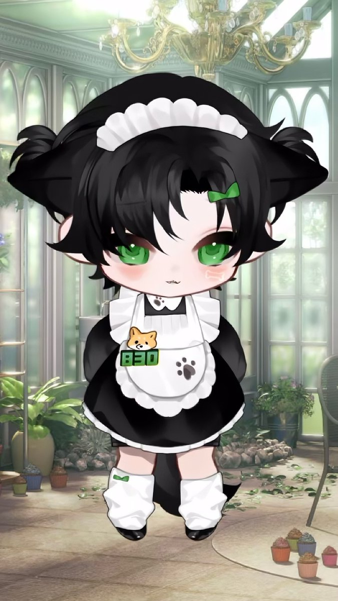 Dallas Shucha tweet media