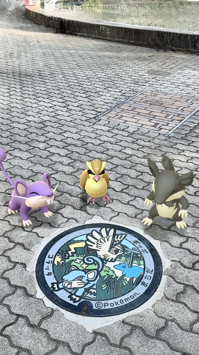 トボ(@toboinsta出張所) tweet media