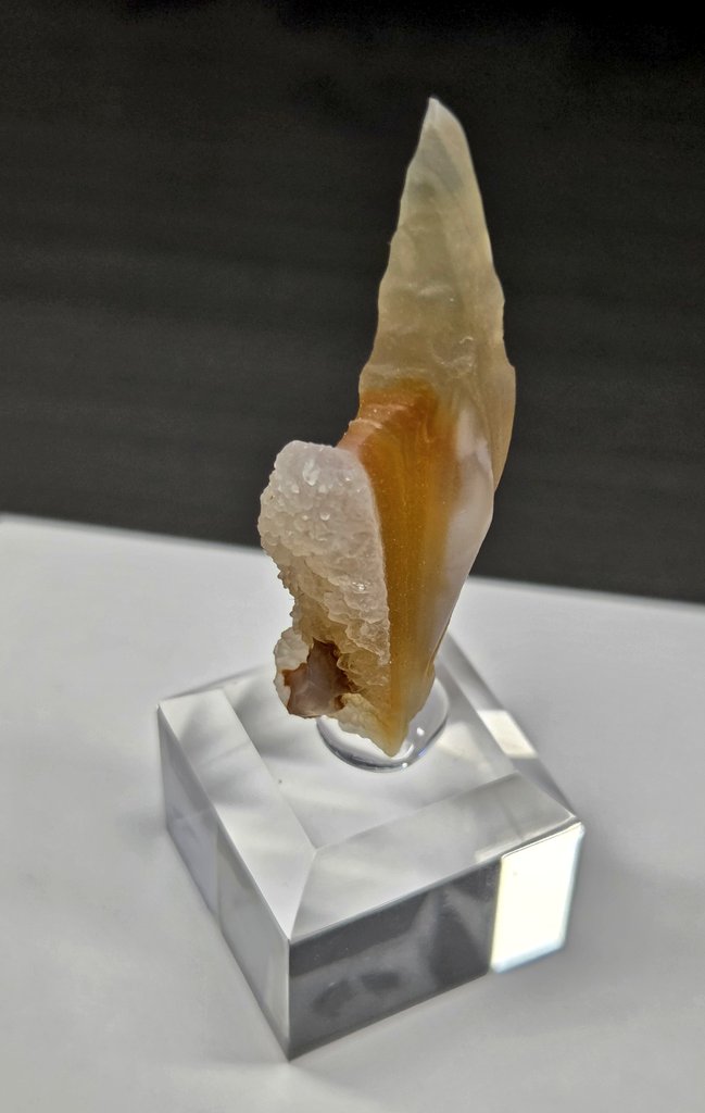 いけやま。@Zeofluo tweet media