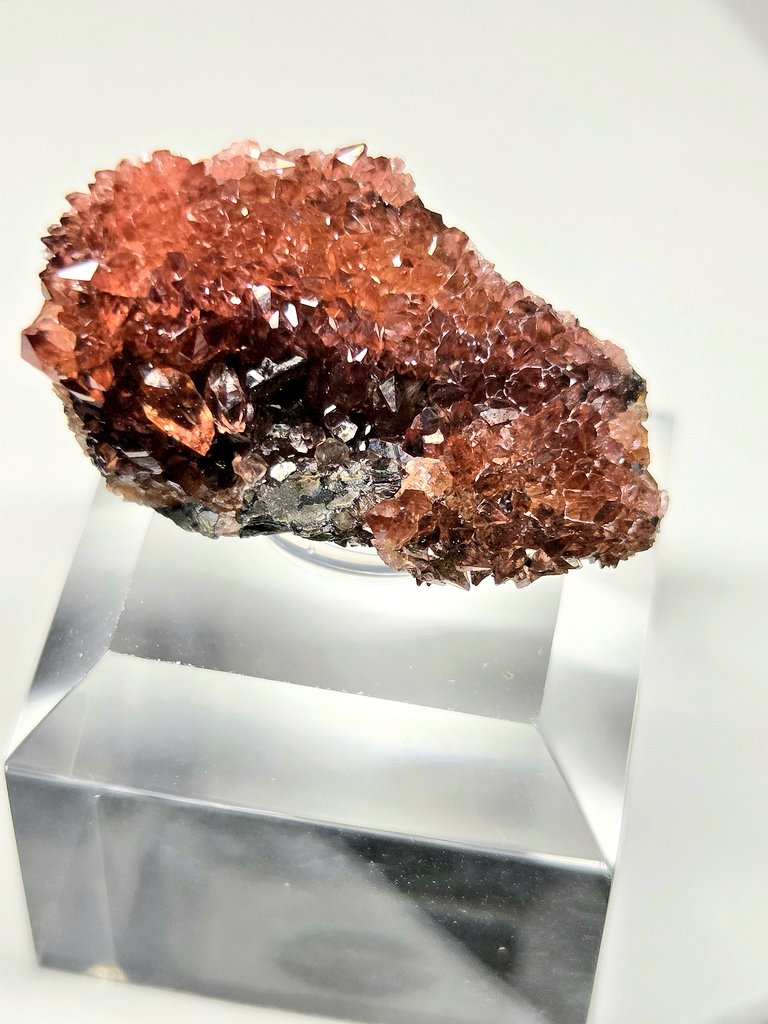 いけやま。@Zeofluo tweet media