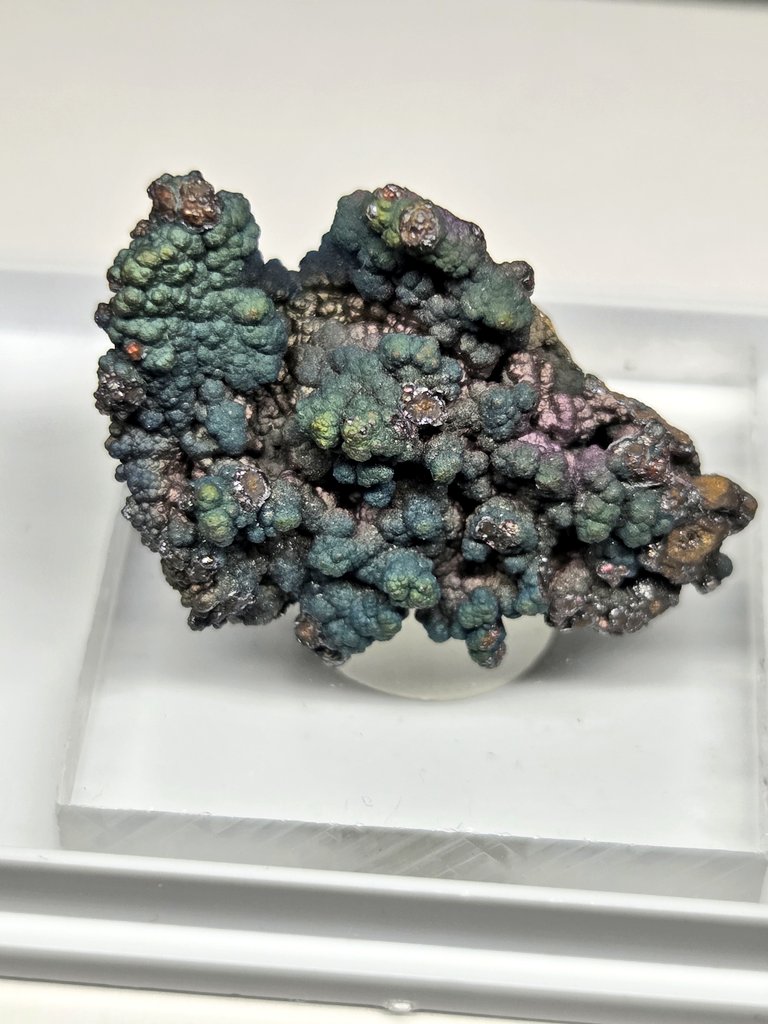 いけやま。@Zeofluo tweet media