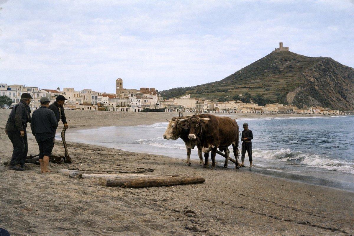 Catalunya Color tweet media