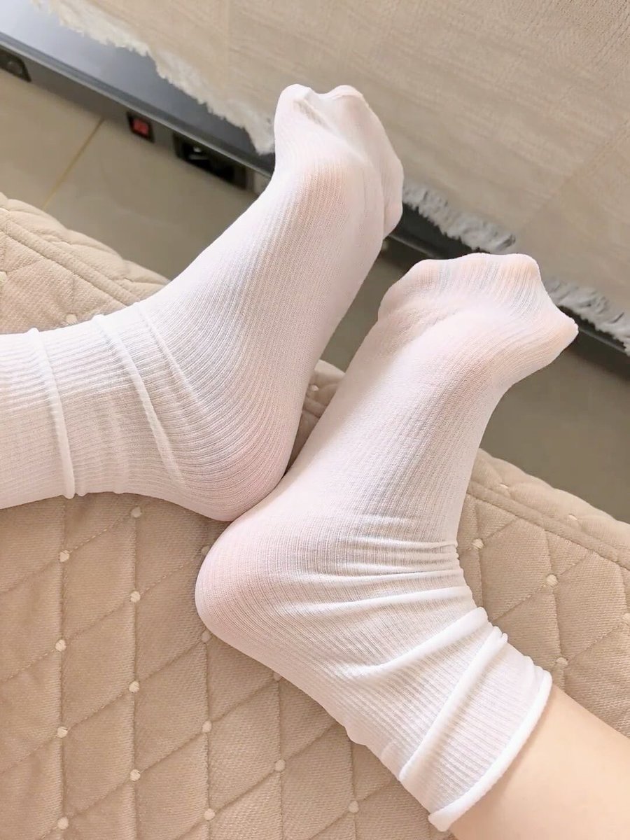 喜欢夏天的狗 tweet media