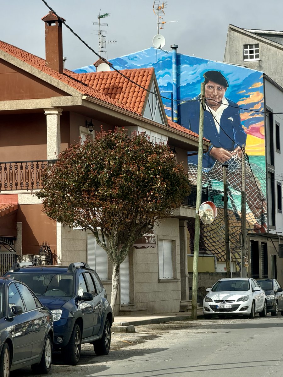 hillegonda dijkman tweet media