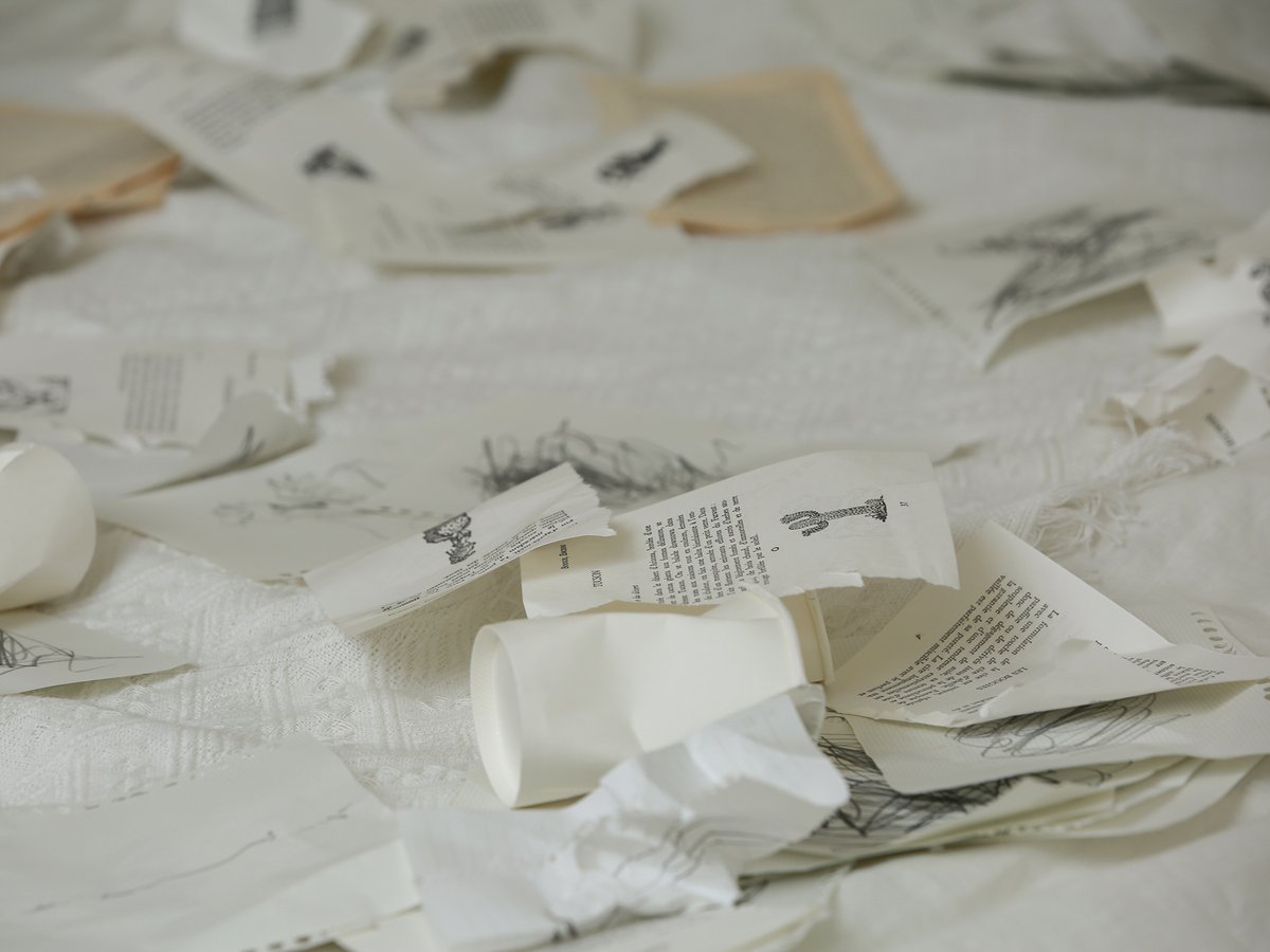 VERIVERY_OFFICIAL tweet media