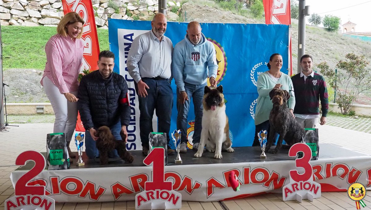SocCaninaCSol's tweet photo. Éxito del Concurso Nacional Canino 2026.Buen número de expositores y afluencia de público, gracias por venir . Agradecimientos a @AytoCoin y nuestro patrocinador Arion Pet Food Iberica. https://t.co/w1Kof9lz00