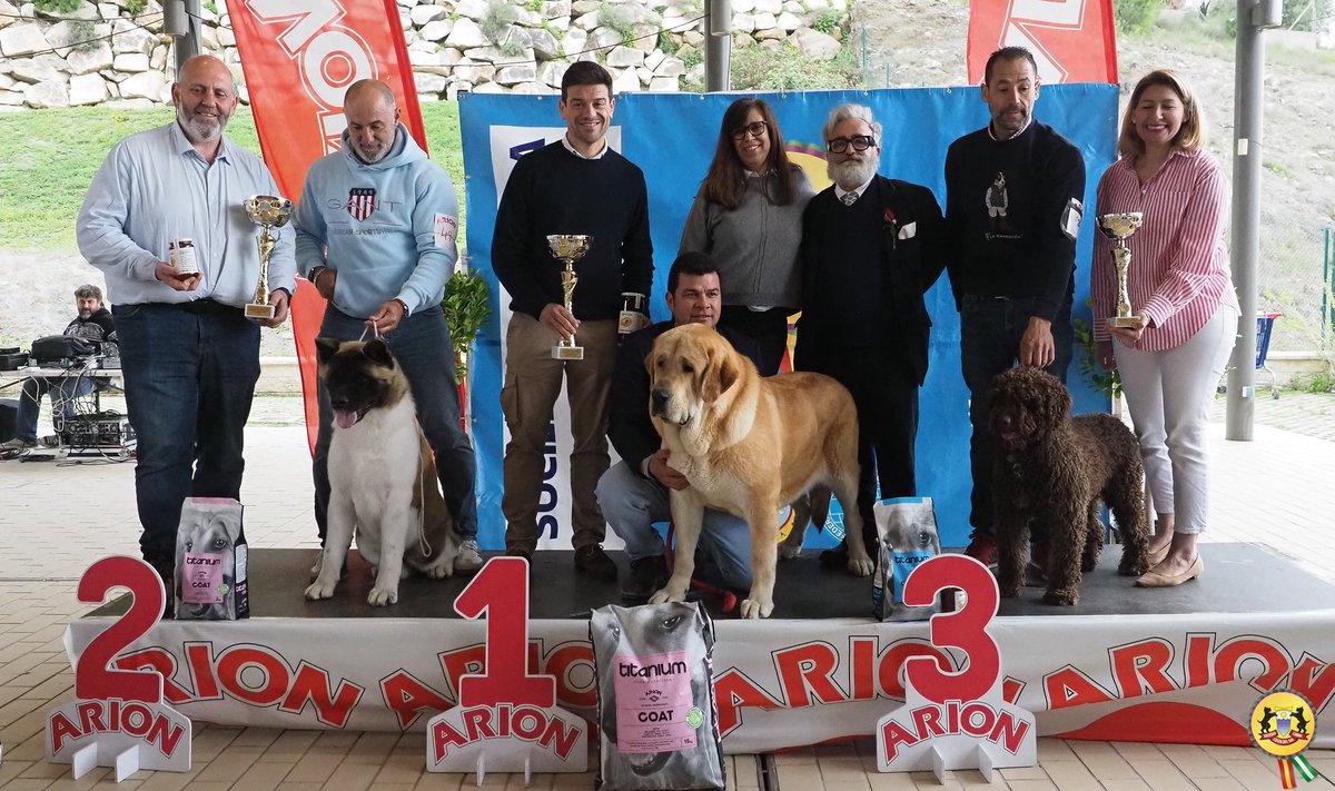 SocCaninaCSol's tweet photo. Éxito del Concurso Nacional Canino 2026.Buen número de expositores y afluencia de público, gracias por venir . Agradecimientos a @AytoCoin y nuestro patrocinador Arion Pet Food Iberica. https://t.co/w1Kof9lz00