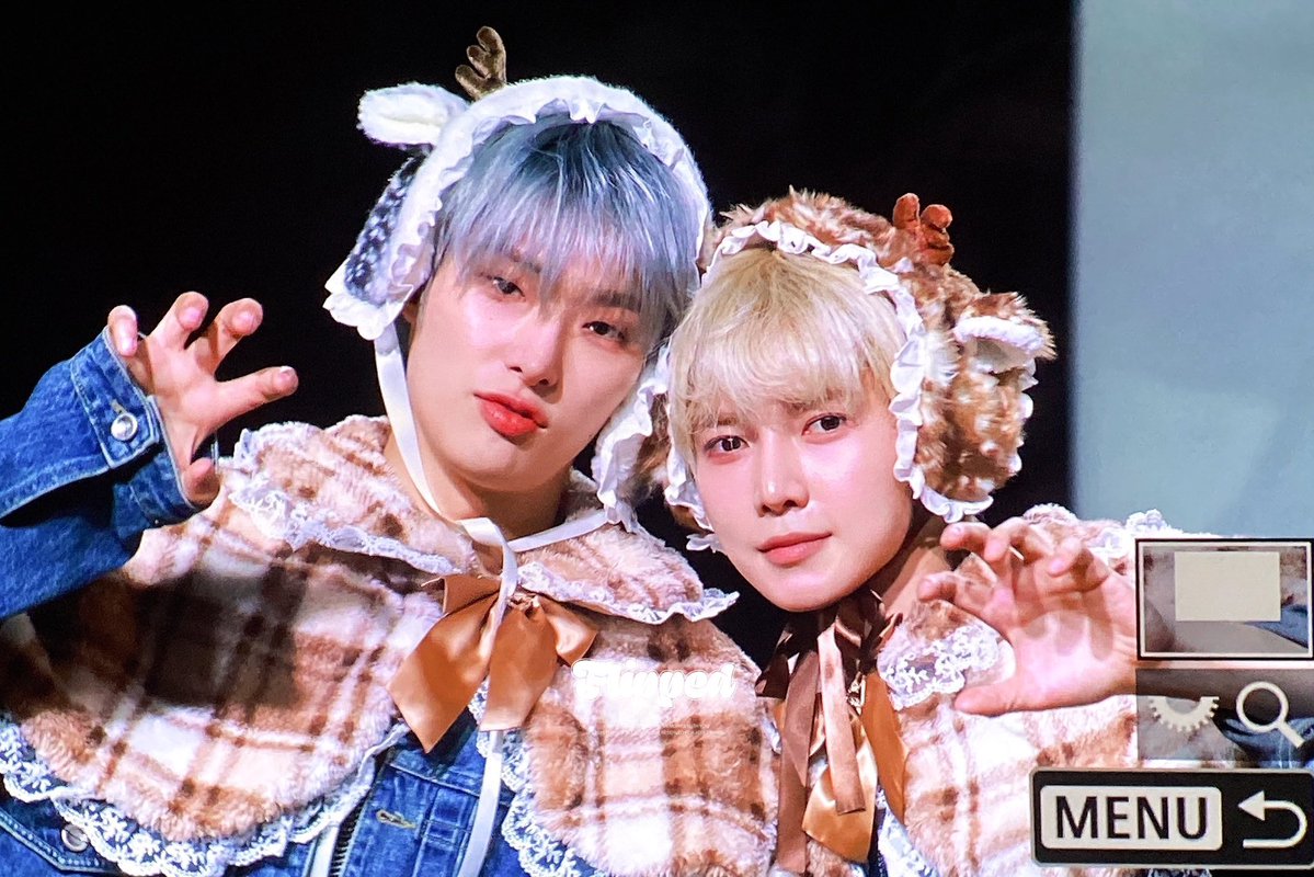 ༺ Lemon ༻ 🐶 DAY tweet media