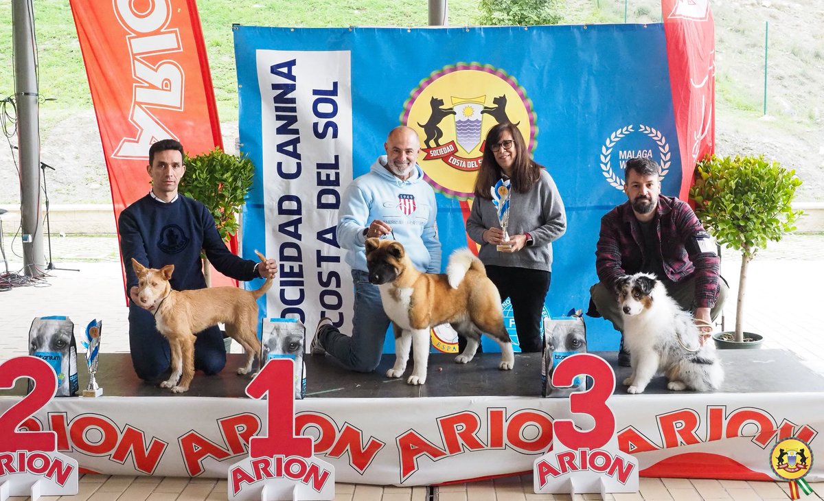 SocCaninaCSol's tweet photo. Éxito del Concurso Nacional Canino 2026.Buen número de expositores y afluencia de público, gracias por venir . Agradecimientos a @AytoCoin y nuestro patrocinador Arion Pet Food Iberica. https://t.co/w1Kof9lz00