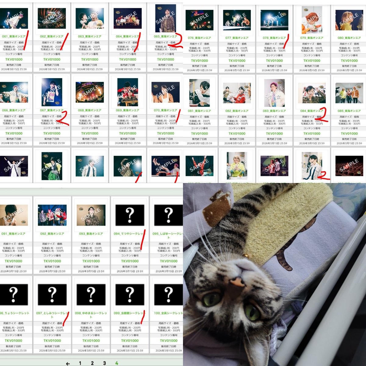 半蔵🦞̥🎩(凛々しい猫)明太子娘 tweet media