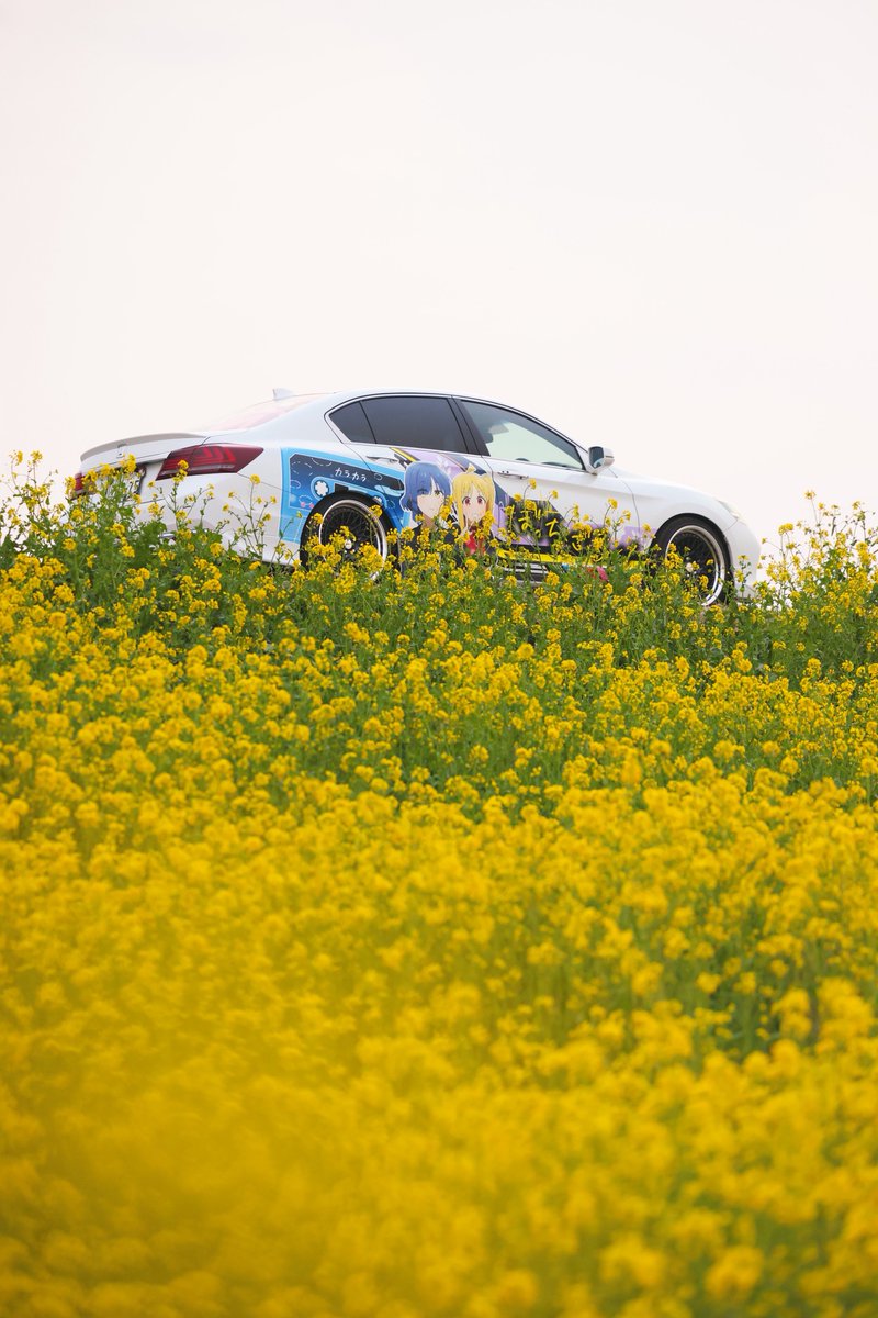 ばっしぃー tweet media