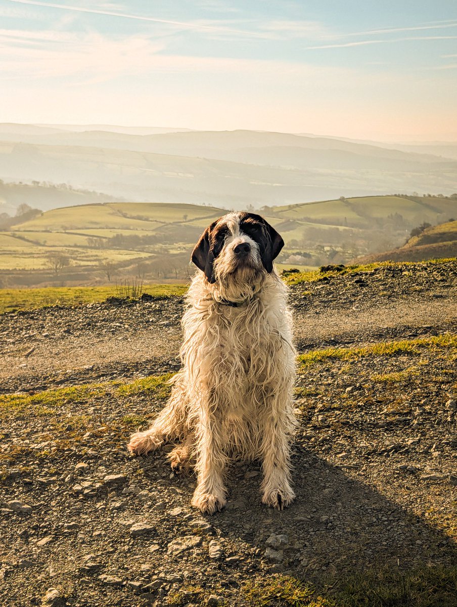 Paul Steele aka BaldHiker tweet media