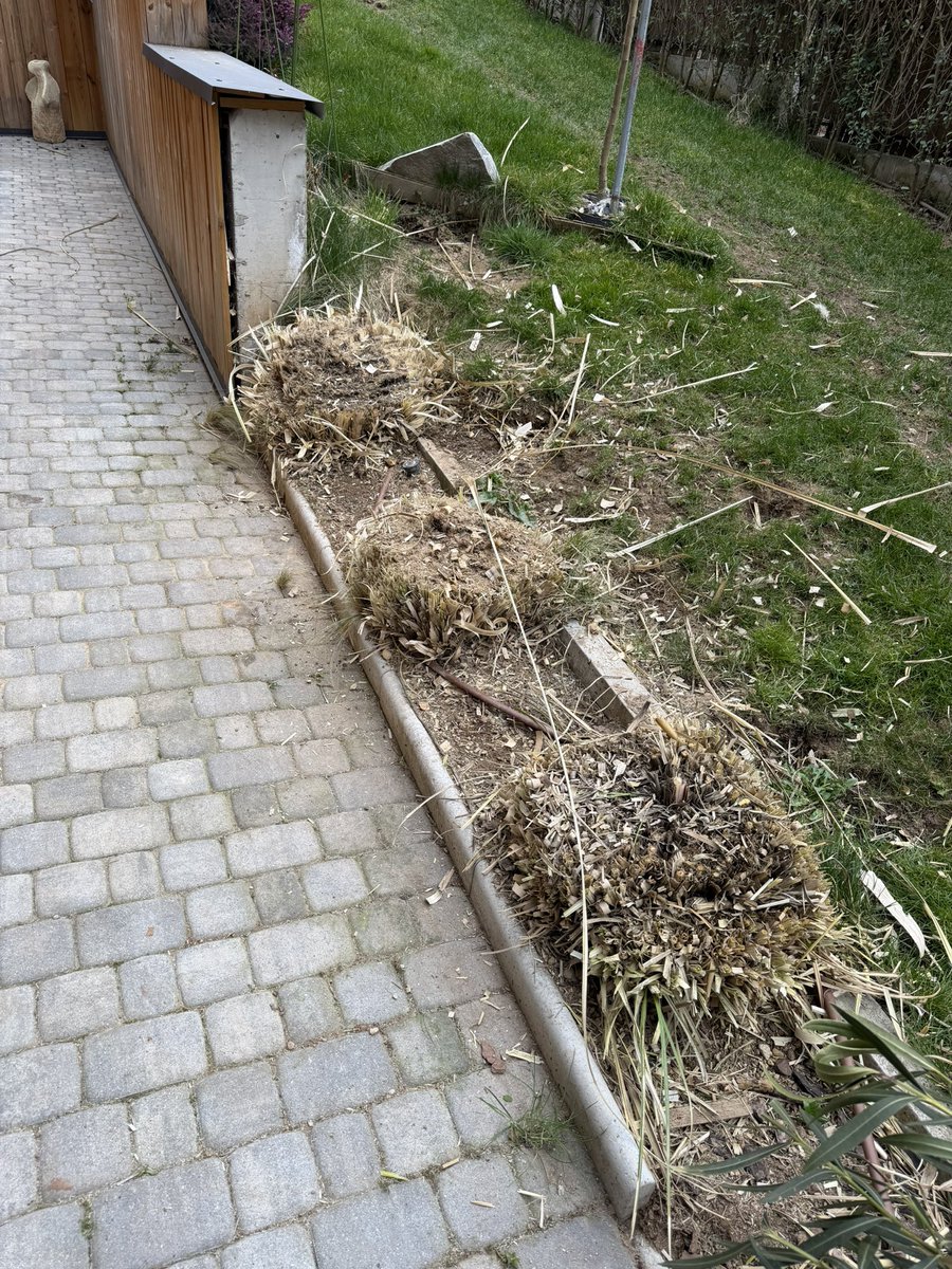 SataneNagano tweet media