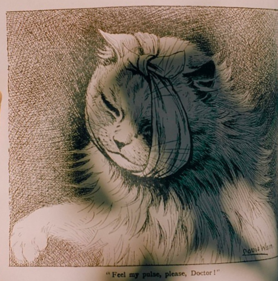 Louis Wain Bot tweet media