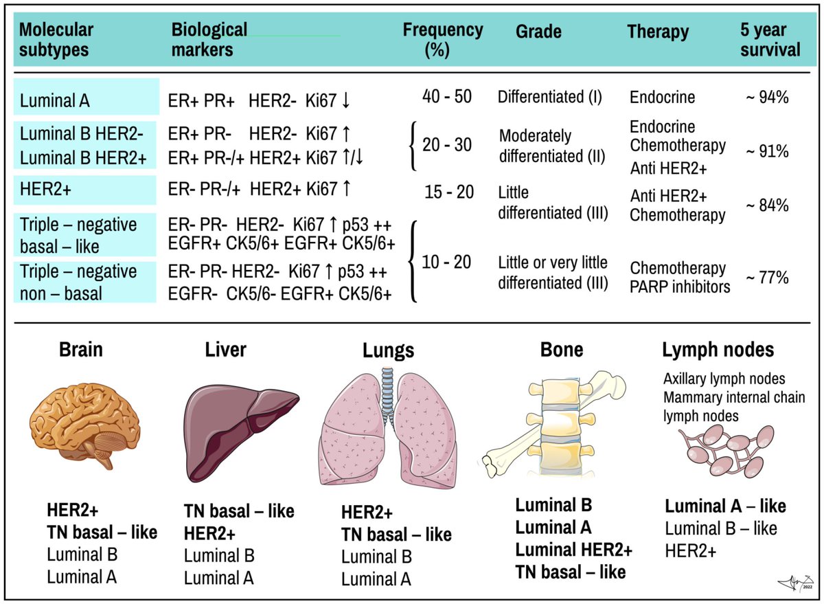 Dr sthanu subramanian tweet media