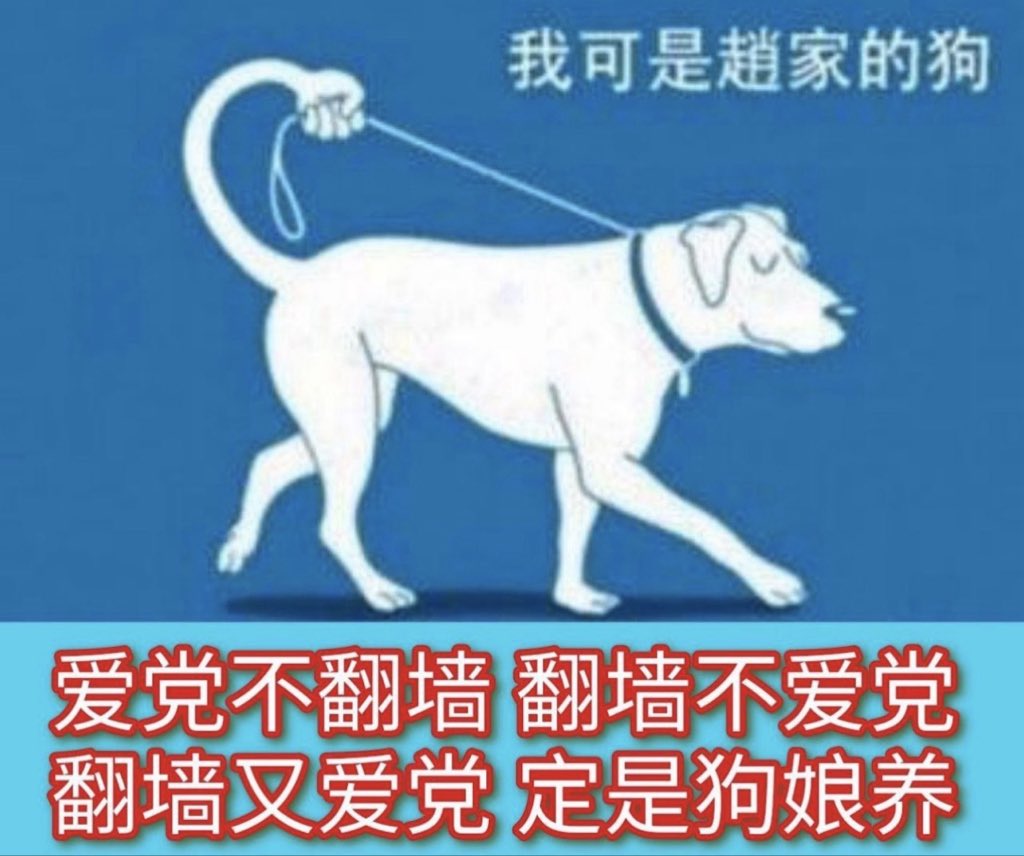 习维尼 tweet media