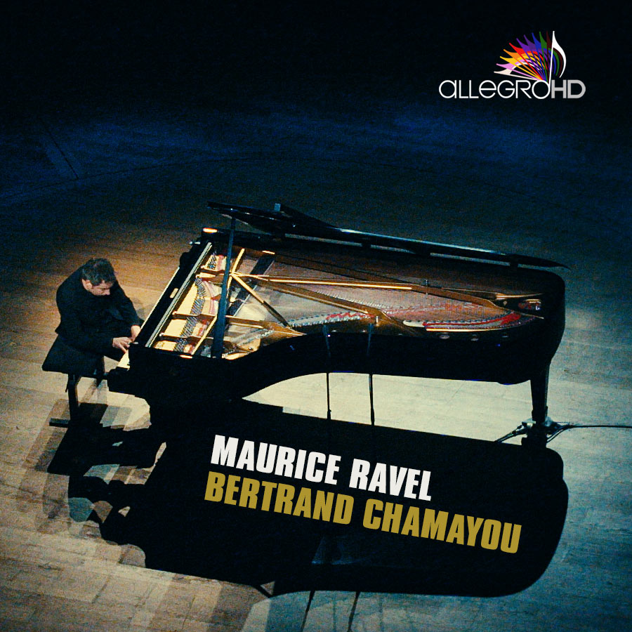 AllegroHD tweet media