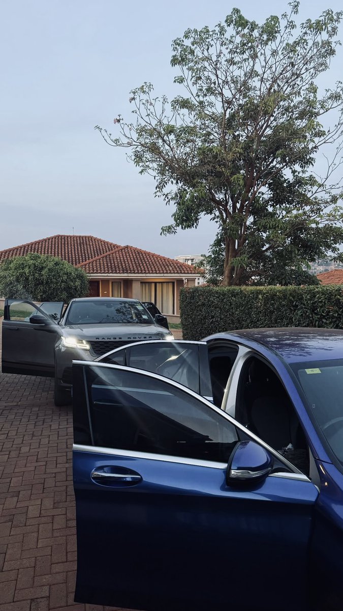 Forex bulls tweet media