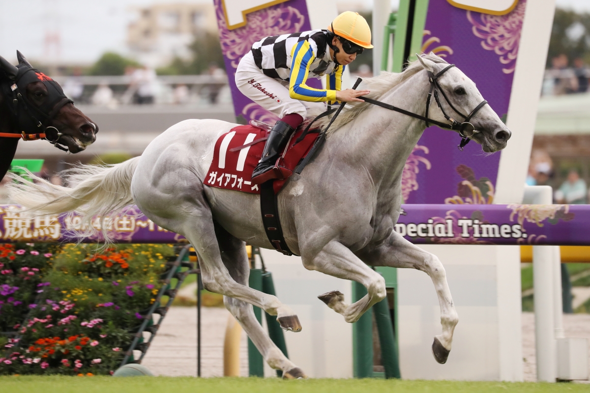 JRA-VAN公式 tweet media