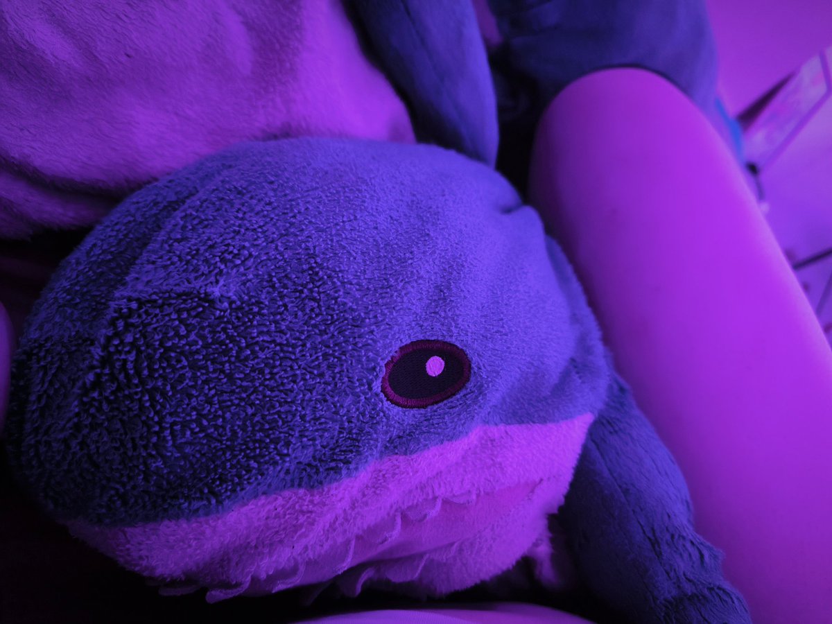 Kola 🩵 tweet media