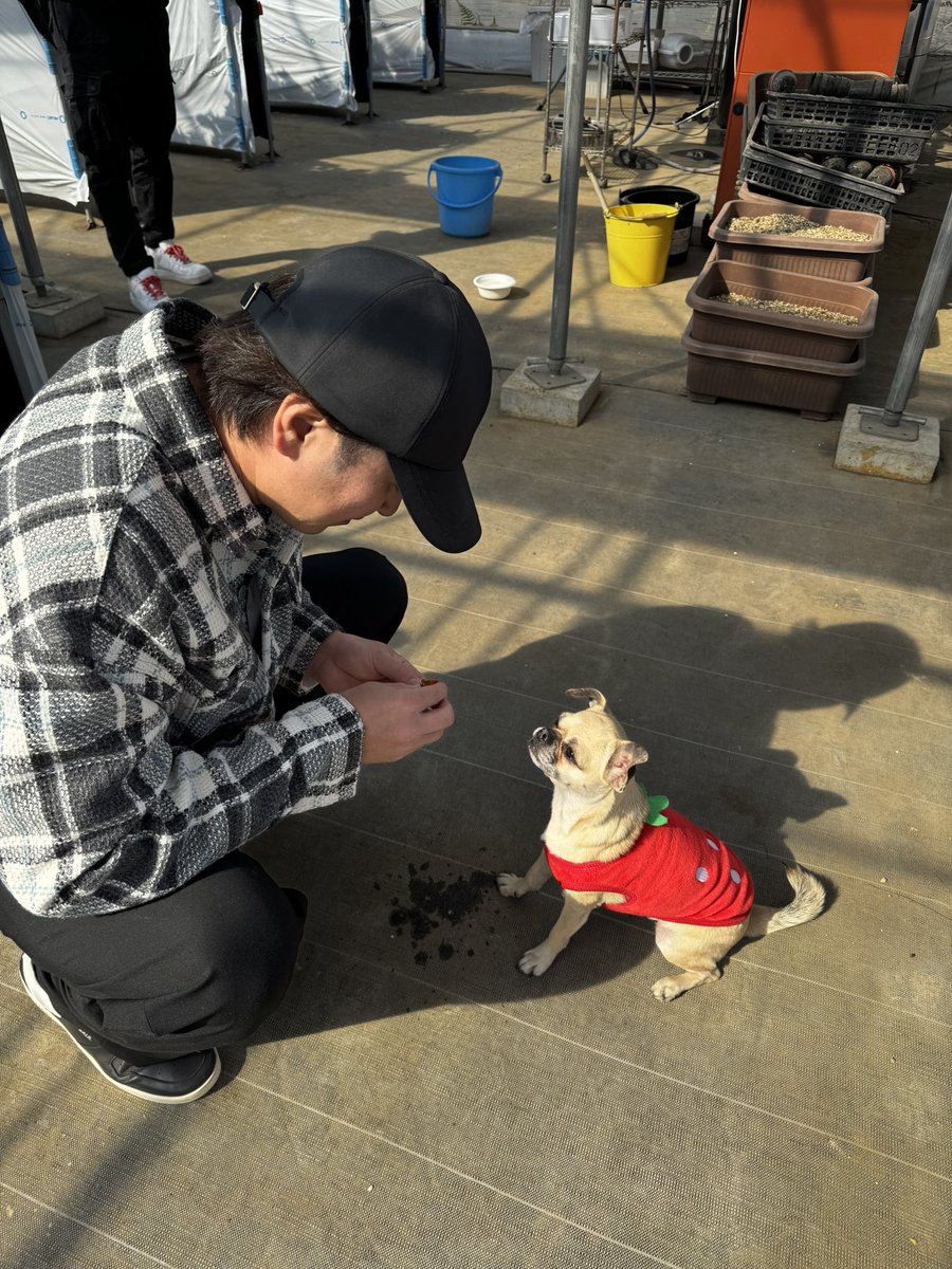 金子侑司 tweet media