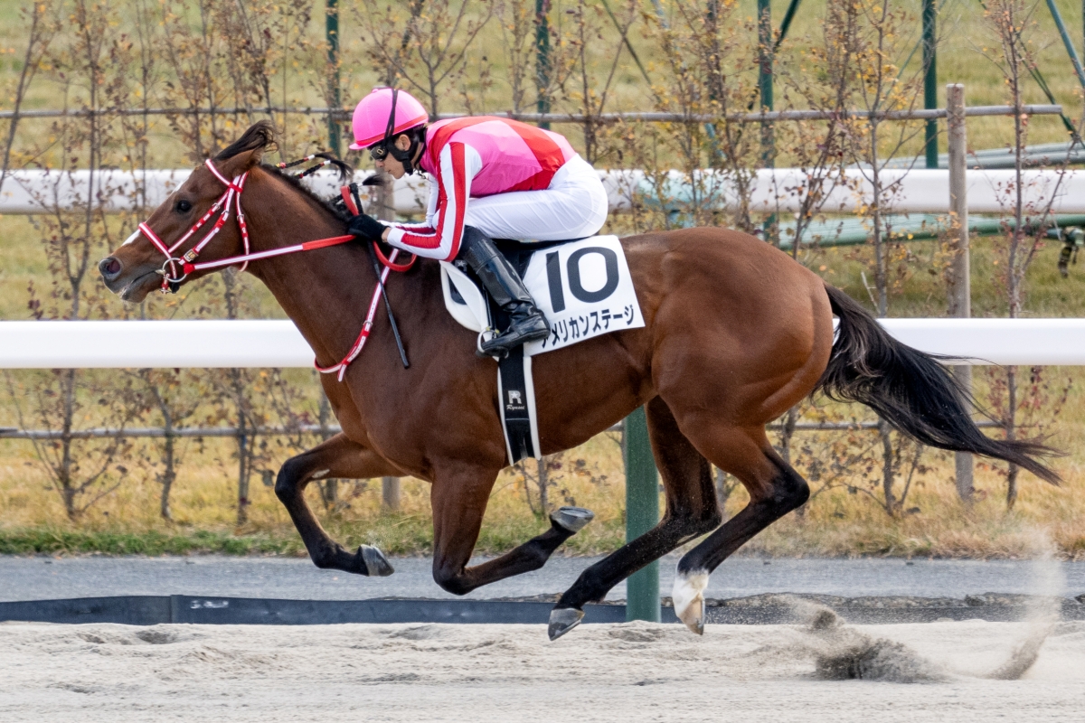 JRA-VAN公式 tweet media