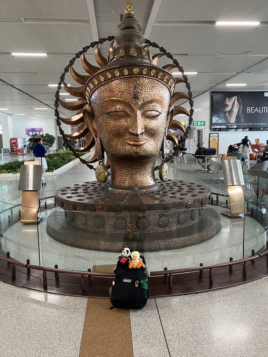 高島勝秀(Katsuhide Takashima) tweet media