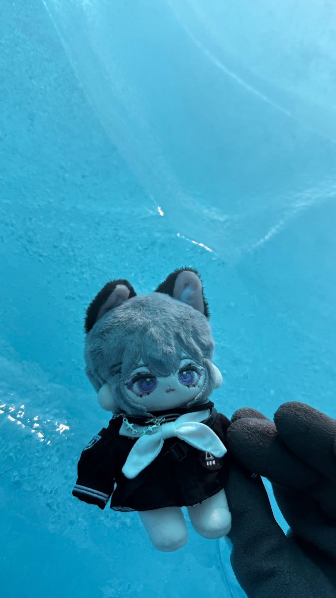 桔香梅綠 tweet media