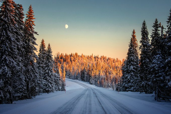 This week in Editor's Choice 📷Explore more work hand-picked by our editors and ambassadors:  