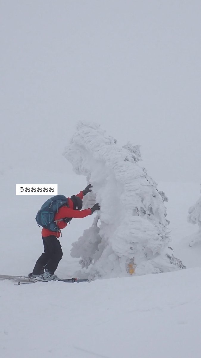 ふくろう tweet media