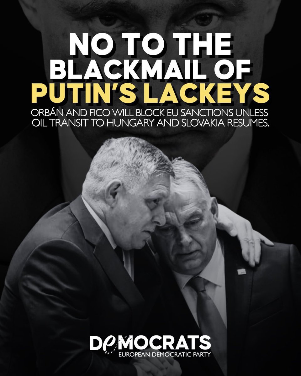 Plotnik Fil tweet media