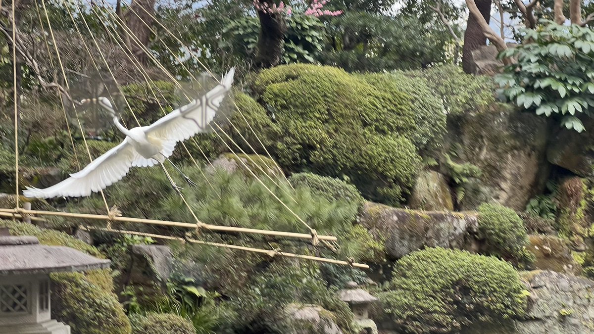 れゐぬ tweet media