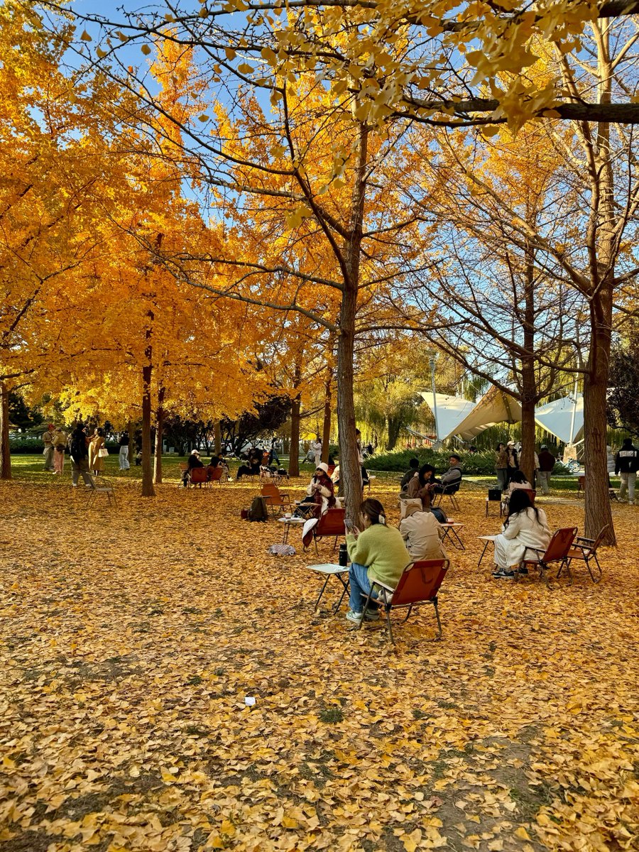 Novina D. tweet media