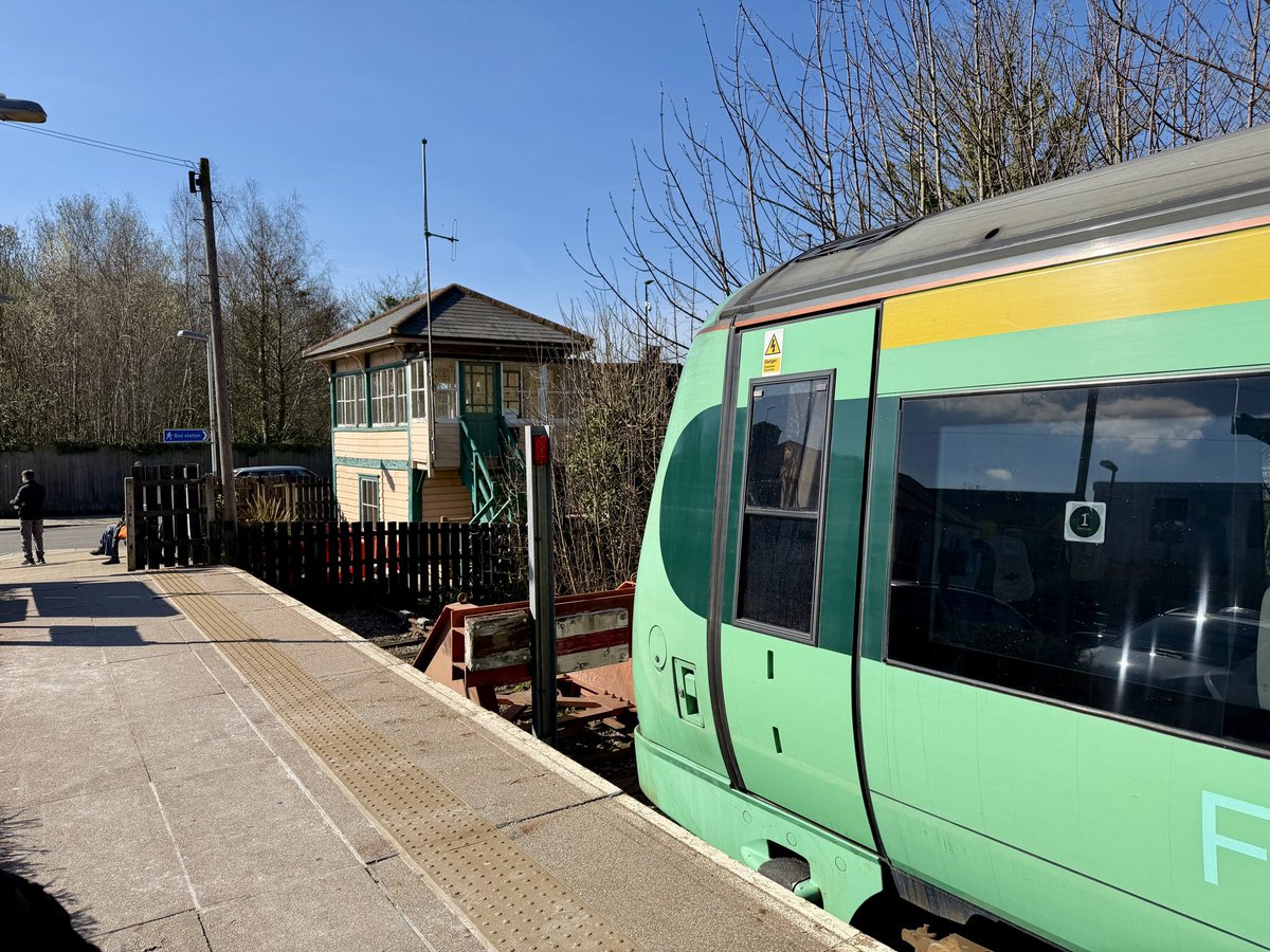 @wolfpaul31 tweet media