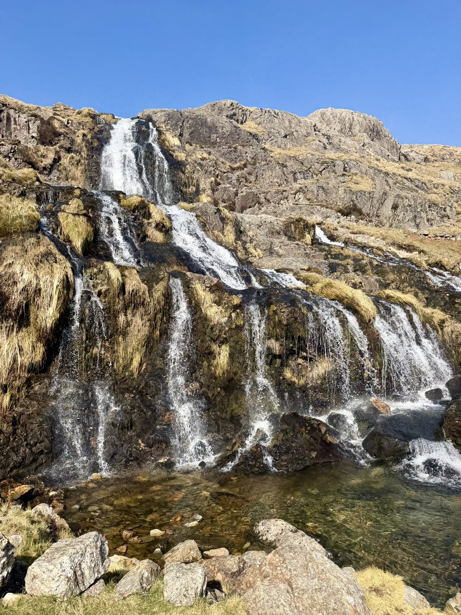 graeme fletcher tweet media