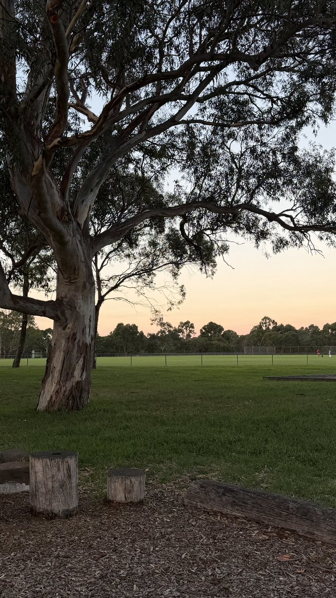 Hidden thread. tweet media