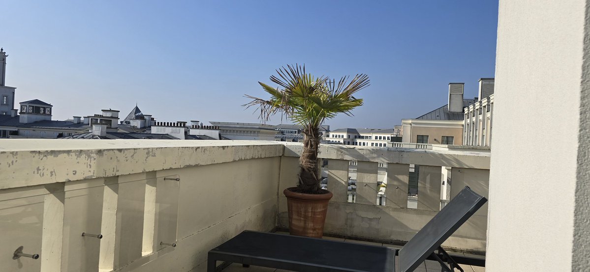 Elizabeth Sheppard Sellam tweet media